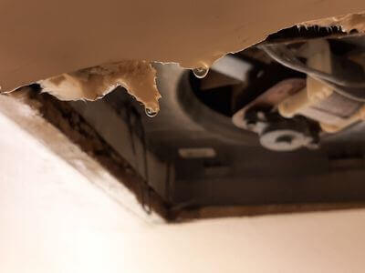 Professional commercial flood cleanup services in Lakeland - water damage restoration service